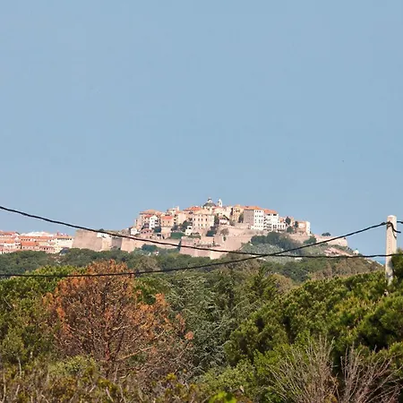 Acquavital * Calvi (Corsica)