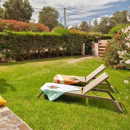 Acquavital * Calvi (Corsica)