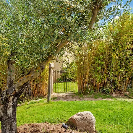 Acquavital Calvi (Corsica)