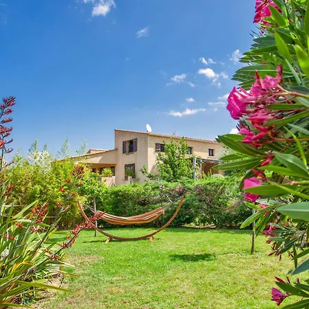 Acquavital Calvi (Corsica)