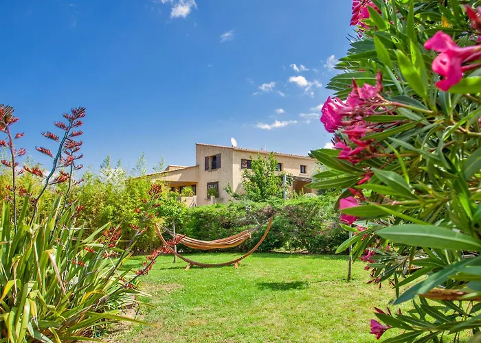 Acquavital Calvi (Corsica)